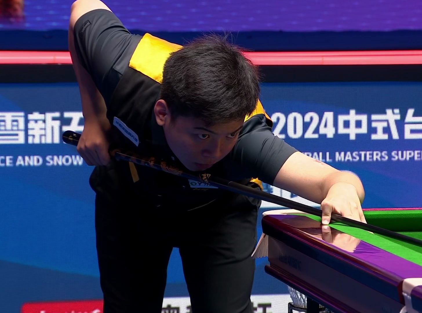 名将张本智 名将张本智